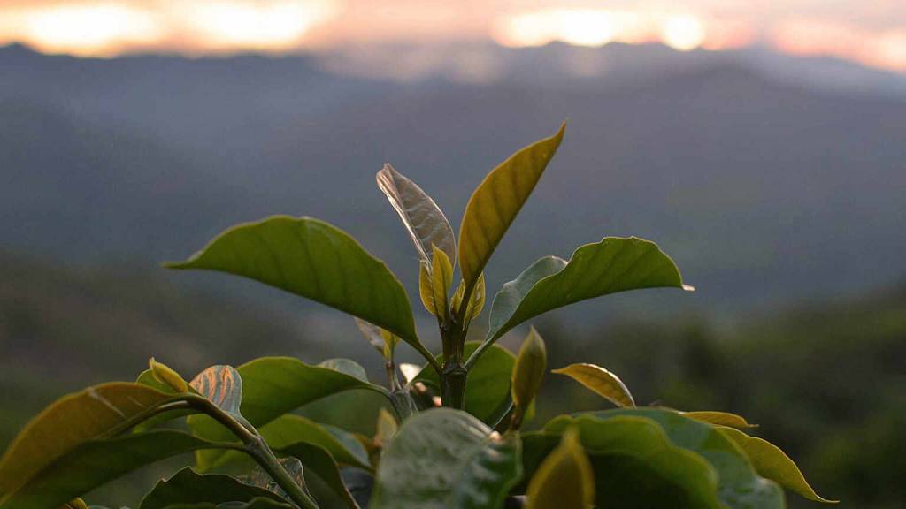 Peru Scenery Mark Furniss